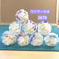 ソラフラワー　2678