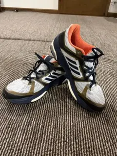 アディダス　BB1612 Snova sequence BOOST 3