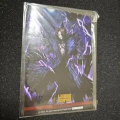 サテラ（今後発送はポスト投函になります）様 リクエスト 2点 まとめ商品