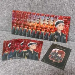 ツイステ】カリム ブレイジングジュエル 缶バッジ オーロラカード