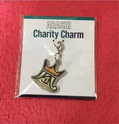 嵐 チャリティーチャーム