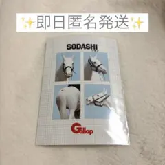 【匿名発送】ソダシ 証明写真風プリント