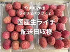 11.(≡・x・≡)様専用 特注品小農薬不使用 鹿児島県産 島津佐多ライチ