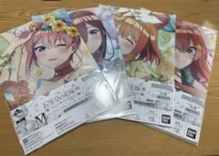 一番くじ 五等分の花嫁 一花 三玖　四葉 五月 M賞 クリアファイル