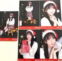 2025年11月個別生写真5枚セット/クリスマス2025 菅原咲月