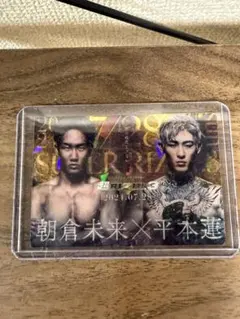 Item thumbnail for item e11a50de-ea2d-46a0-bcfe-138a372e7378