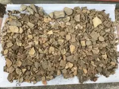 天然石 乱形石材 庭石 DIY 約20kg オークルストーン パールイエロー