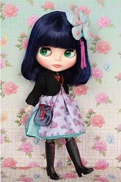 2026年最新】ネオブライス プリティピオニーの人気アイテム - メルカリ