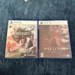 WILD HEARTS & WO LONG: FALLEN DYNASTY