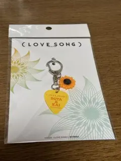 【新品未開封】(LOVE SONG) SOTA & KAI ピックキーホルダー