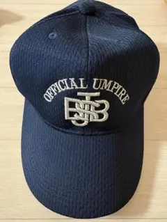 Item thumbnail for item 10a88709-25ba-4bab-b54c-093c01550ae4