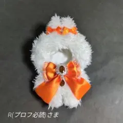 B296】R(プロフ必読)さま ぬい服 着ぐるみ オーダーページ - メルカリ