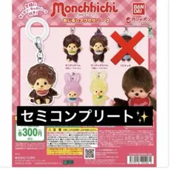 モンチッチ めじるしアクセサリー セミコンプリート
