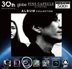 THE ARTIST COLLECTION ジャケット globe 1個