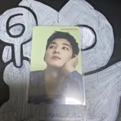 SEVENTEEN ウォヌ 24H HMVトレカ