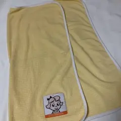 Item thumbnail for item c0a96ce2-3b29-4043-95a0-f8b4162ff562