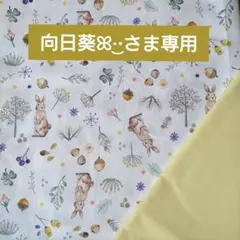 ランチセット お弁当袋 給食袋 コップ袋 ランチョンマット ランチクロス