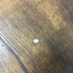 Item thumbnail for item 0d40f7b3-1080-4b15-bbc6-7dd37ca3ab21