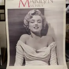 Item thumbnail for item afadf8f1-6b43-4293-9d22-0a8bdbb0f1e3