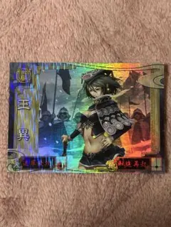 2026年最新】三国志大戦 王異の人気アイテム - メルカリ