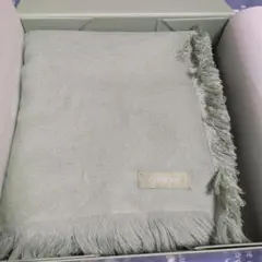 CLINIQUE ブランケット 毛布