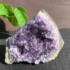 気まぐれセット ブラックペトリファイドウッド × スモーキーアメジスト
