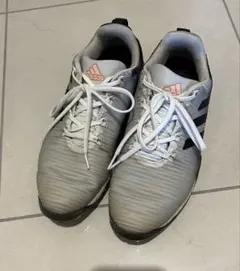 adidas ゴルフシューズ コードカオス　25.5