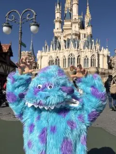 モンスターズインク サリー 着ぐるみ 110cm