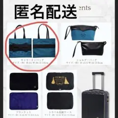 【匿名配送】しまむら　アナ雪　ハッピーバッグ　ちはる　エルサ