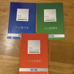 2026年最新】ena パースペクティブの人気アイテム - メルカリ