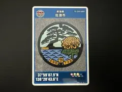 Item thumbnail for item 2d1f76d1-7a71-4e9e-9dca-96c68f83199d