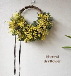 ＊Natural＊ふわふわミモザリース☆ドライフラワーリース
