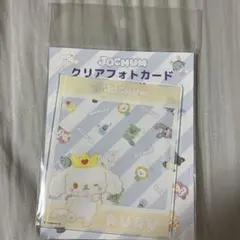 JOCHUM じぇおちゃむ　ルル　クリアフォトカード