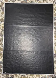 Item thumbnail for item 746534d4-3040-4dd6-b65e-2c07e069bec2