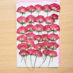 柚子と蜜柑様 リクエスト 2点 まとめ商品