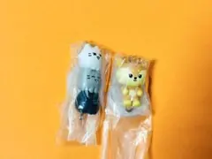 EXO D.O. ギョンス チレンイ＆チャールズ 缶バッジ ストラップ トレカ