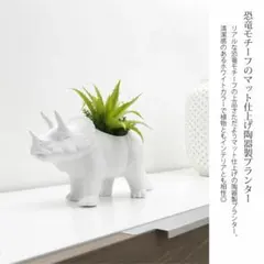 Item thumbnail for item 0c222129-3a3b-4473-8567-7e0bf366c9a7