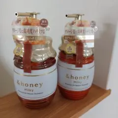 Item thumbnail for item 2a3cc34c-ace8-41a5-9ff2-3885d48435c6