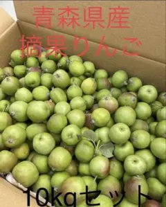 大特価限定セール　青森県産摘果りんご　ふじ.つがる、紅玉MIX　10kgのサムネイル