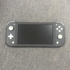 Nintendo Switch Lite グレー 本体のみ