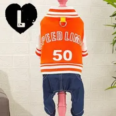 Item thumbnail for item 9eac08f5-f37e-463f-88b1-b6ed8cd9479f