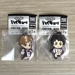 ハイキュー　でふぉラバ！　牛島　白布