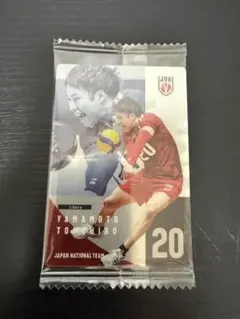 男子バレー日本代表ウエハース　山本智大選手