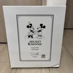 ディズニー　ミッキー＆ミニー プッシュタイプごみ箱