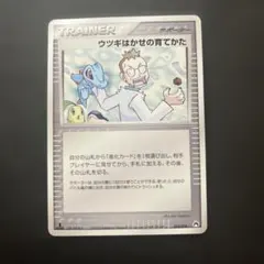 ポケモンカード　ウツギはかせの育て方のサムネイル