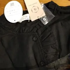 Item thumbnail for item f76e1a0b-ae99-4133-b328-4e11b8525396