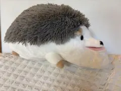 ニトリ Nウォーム 廃盤 ぬいぐるみ ハリネズミ S - メルカリ