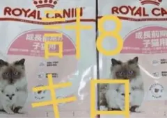 ロイヤルカナン マザー＆ベビーキャット 成長前期4キロ×3 - メルカリ