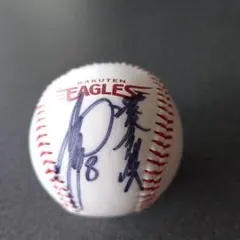 Item thumbnail for item 50551719-d3f1-4850-b750-cac9a39a9b37