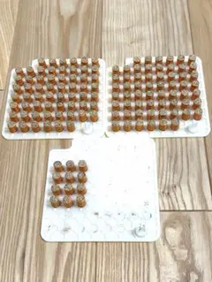 コブ様 リクエスト 2点 まとめ商品